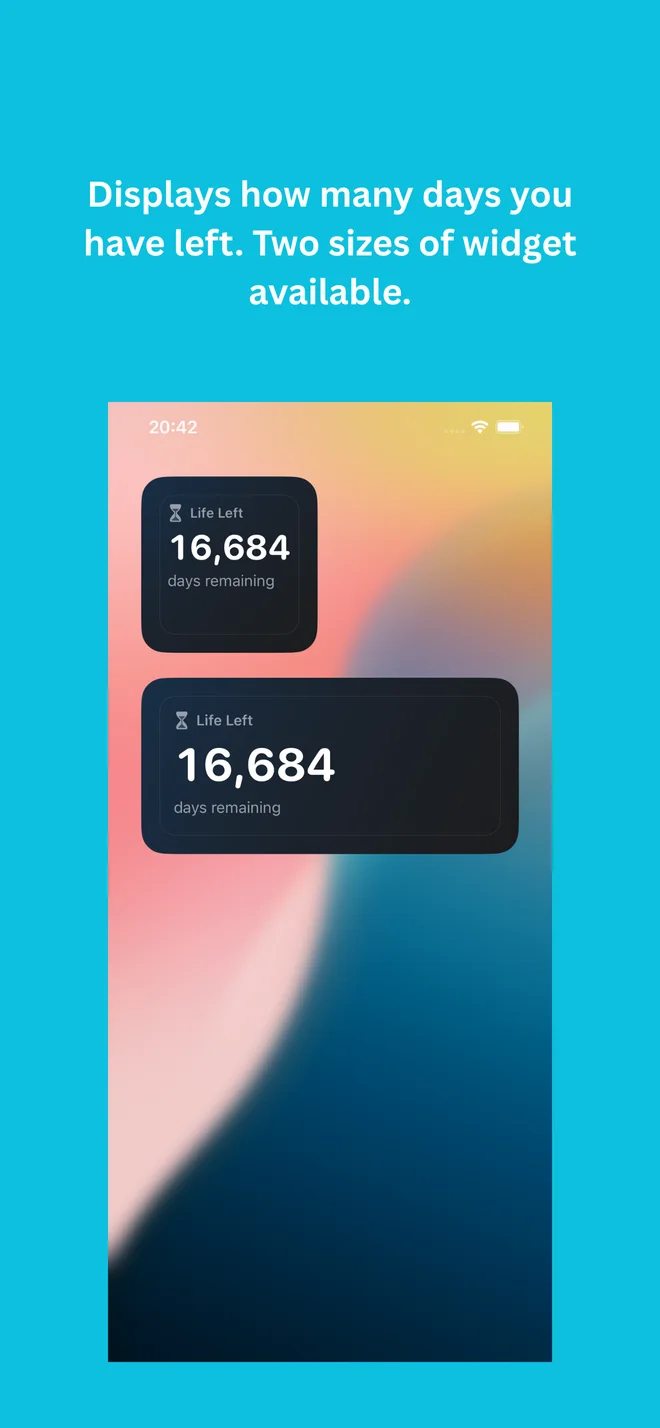 Life Left Countdown Widget product screenshot