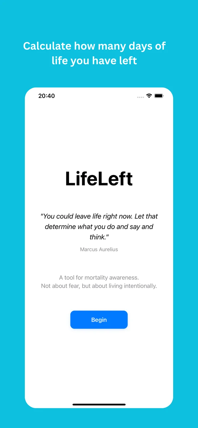Life Left Countdown Widget preview 2